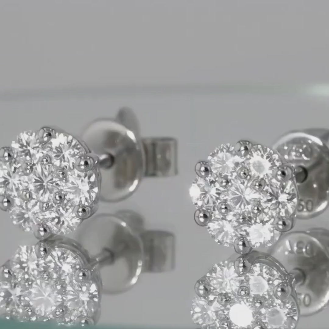 Aretes Véronique